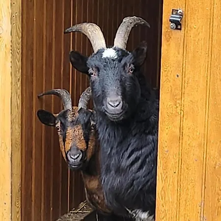 Villa 3 Bed Sleeps 5 - Hot Tub Pool Parking