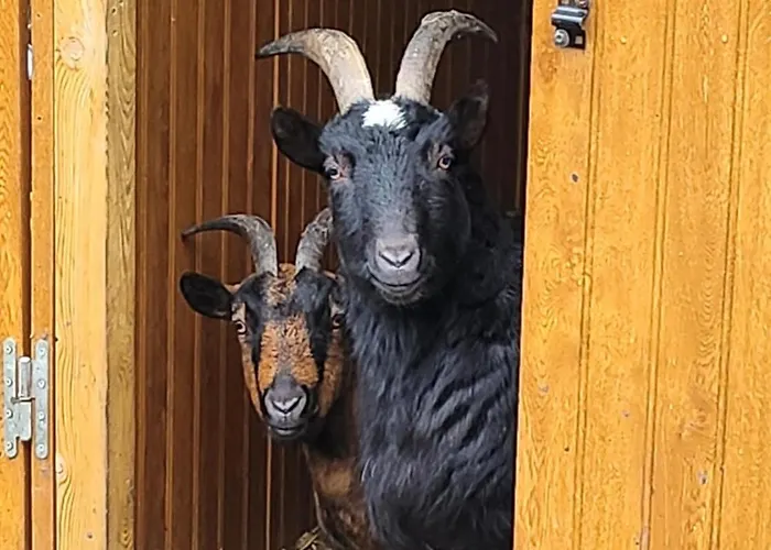 Villa 3 Bed Sleeps 5 - Hot Tub Pool Parking