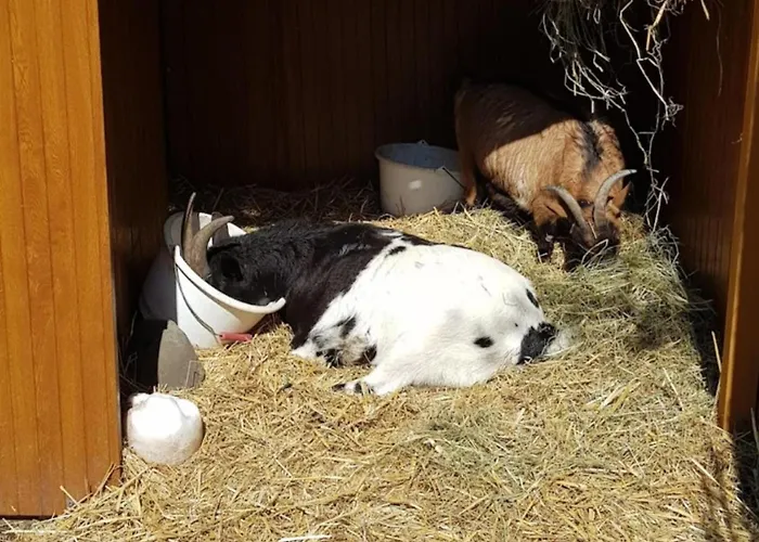 Villa 3 Bed Sleeps 5 - Hot Tub Pool Parking