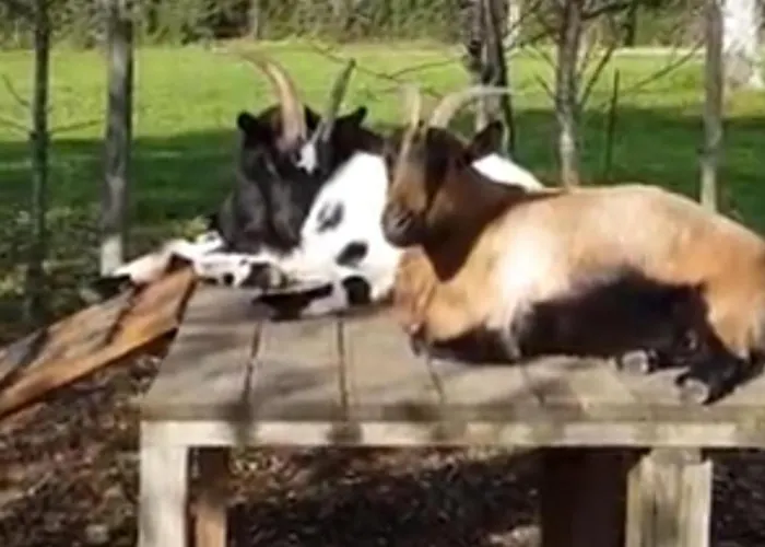 Villa 3 Bed Sleeps 5 - Hot Tub Pool Parking